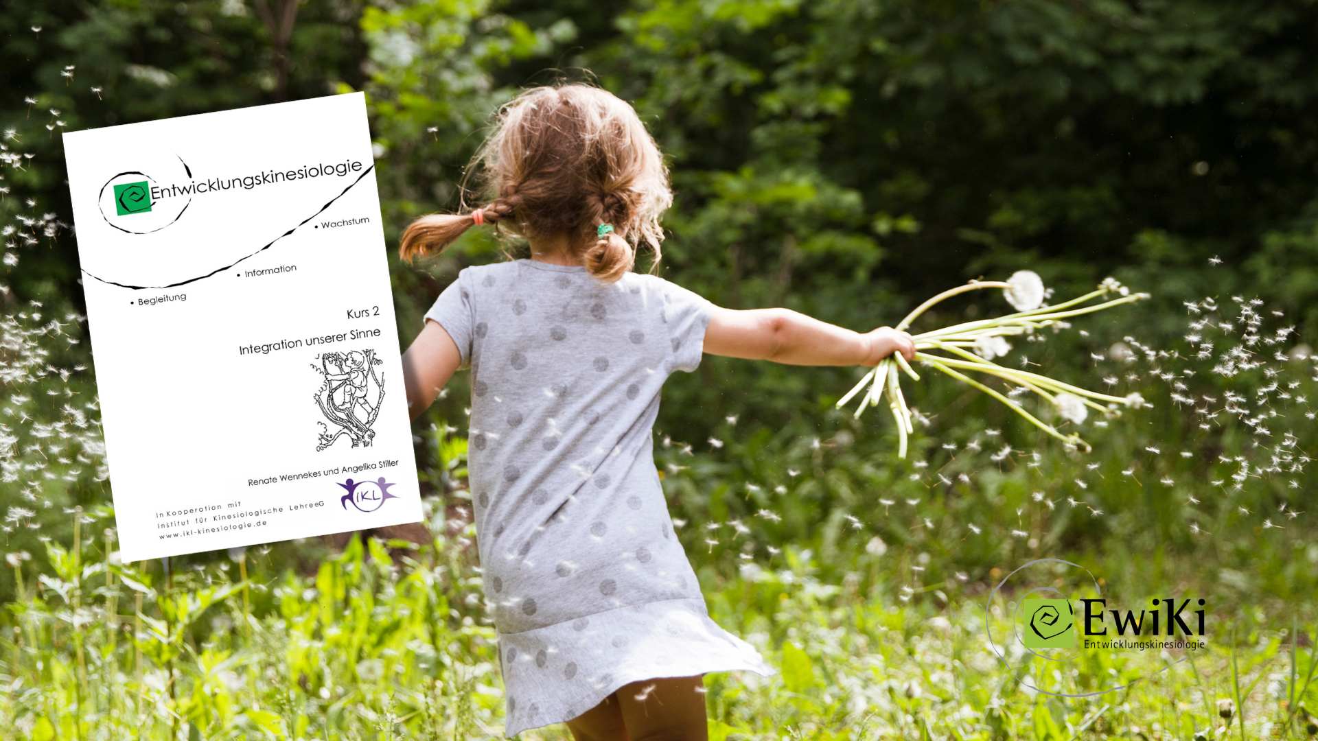Integration unserer Sinne - Kurs