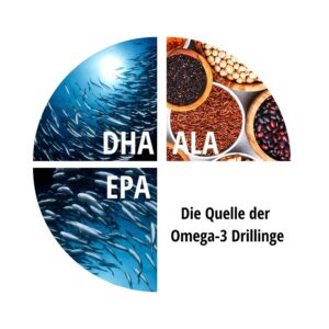 Quelle DHA ALA EPA